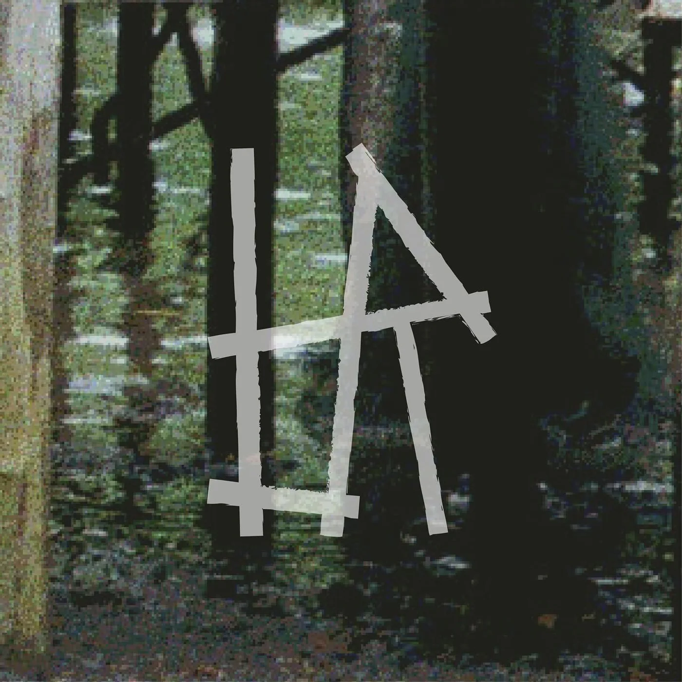 Hand-drawn monogram over a forest photo